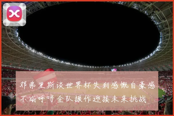 邓弗里斯谈世界杯失利感慨自豪感不减呼吁全队振作迎接未来挑战